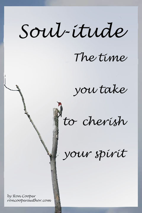 Soul-itude